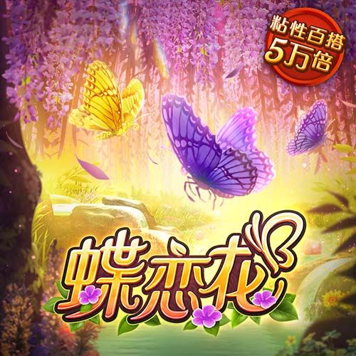 九博体育官网入口
