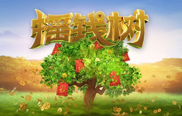 开云app